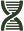 DNA Helix